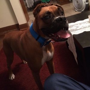 Meet your Posher, Brian